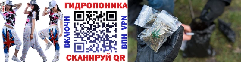 Купить закладки  Новый Оскол  Канабис гибрид 
